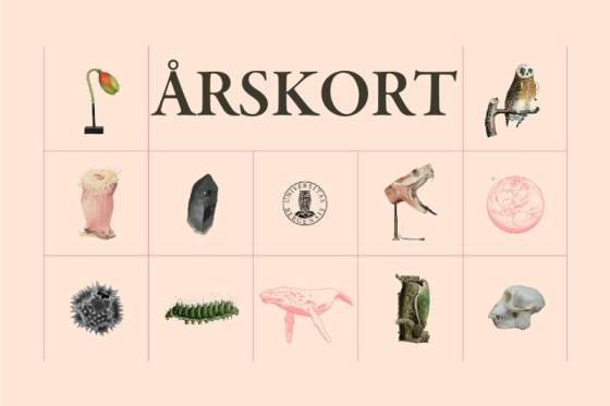 Årskort