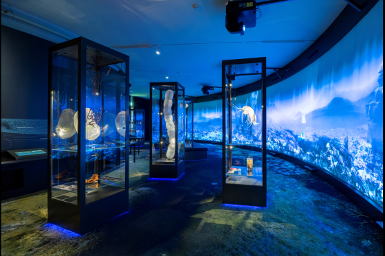 The deep sea exhibition