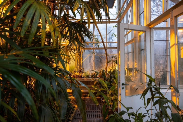 Plantehuset 3